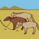 신대륙목장 이미지