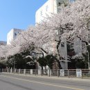 왕자맨션 이미지