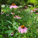 소희꽃농원 이미지