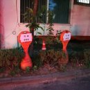 청두곶길 12 이미지