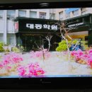 은석 정보시스템