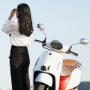 욜로모터스 이미지