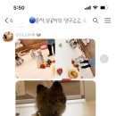 댕구르르 유치원 이미지