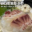 구갈지구대 사거리(더��) | 광주 수완지구 : 바다회포차 수완, 수완지구 신상술집, 수완 횟집, 수완 맛집 추천