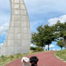 럭셔리애견사랑 이미지