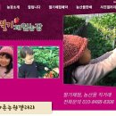 2018 봄, 양평 딸기체험농장 ‘샤론농장’...향긋함으로 주목 이미지