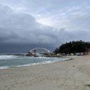 마르용화 이미지