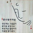 제일특수나이프 이미지