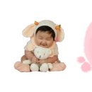 (주)베어비 네이버블로그