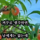 아이라예 이미지