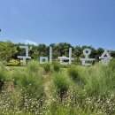 선산산업(주)낙동강구미휴게소 | ~~~구미 다온숲~~~