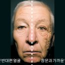 참코스메틱 이미지