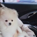 가양쿨펫동물병원 이미지