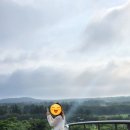 강민 농장 | 스페셜 포토덤프 1주차 - [국내 여행] 6월 제주 여행 꽉 찬 이틀 코스 추천 / 수국 스팟 추천