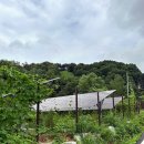 연무읍주민자치센터 앞 (충청남도 논산시 안심로 50) | 번개맨 일상: 장마낀 주말