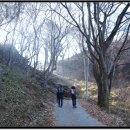 시루미