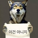말랑해도쿄감성모르면나가라