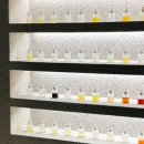 (원데이) 나를 표현하는 향수 | [서울향수공방] 북촌데이트코스 종로공방 '무화원' 향수 원데이 클래스 후기