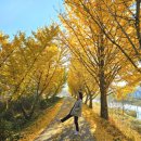 문광축사 이미지