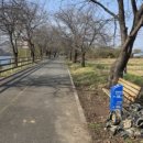 여주-0054 이미지