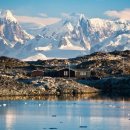 팀 크루즈 이미지