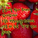 주식회사위텍 네이버블로그