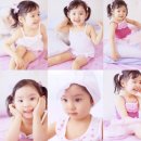 레몬트리 이미지