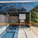 버드실샘 이미지