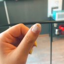 에벤에셀 네일 | 젤네일) 안산 에벤에셀네일 후기 - 노란색네일 / 레몬색네일 / 꽃아트 네일 / 노란 프렌치네일 / 봄 네일