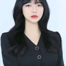 참좋은애견미용실 이미지