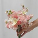 베르닷다 | [웨딩부케/Prana Flor] 본식부케 포항부케 촬영부케 더누벨웨딩 프라나플로르 포항이동꽃집 프라나부케...