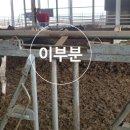 밀키웨이목장 이미지