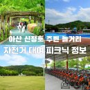 신정호국민관광지 대여소 이미지