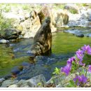 계곡이 있는 풍경 이미지