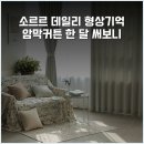소르르 데일리 형상기억 암막커튼 한 달 써보니