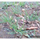 아랫선골 이미지