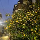 용산-91 | May.) 늙크크