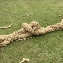 한국전통문화대학교 미래문화유산대학원 | 성년의 첫걸음, 전통의 마루에서✨– 한국전통문화대학교 성년의 날 행사 스케치