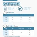 도토리 펫살롱 이미지