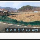 부동농장 이미지