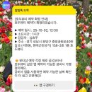 중앙공원로40번길 | 분당 서현속눈썹 펌 맛집 손상 없는 자연스러운 컬, 호두뷰티 추천 후기