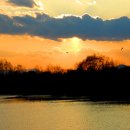 삼락강변공원 이미지