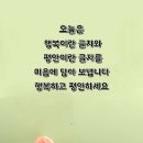 봄을 소식을 시샘 하는 취위에 환절기 감기 건강 조심 하세요 👍💞 이미지