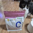 다온펫푸드 | 고양이 사료 아토주 알파벳C 사료 한 달 급여 후기