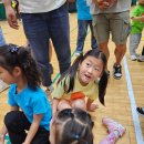 사라봉다목적체육관 체육관 이미지