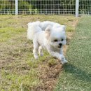 멍스빌리지풀빌라5 이미지