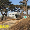 순성면사무소 Daum카페