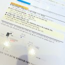 해떠온 | 아이랑 1월 겨울 제주여행 숙소 추천 2탄｜롯데호텔 제주 해온 수영장·키즈랜드·조식 후기