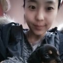 (주)봉쥬르마켓