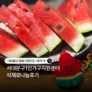 독산1동주민센터 나눔교실1 | [서포터즈]주말에 뭐 하지? 서대문구 매력텃밭교실! 아이랑 특별한 추억 만들기